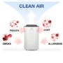 Refurbished ElectriQ CD12LE 12L Premium Low Energy Compressor Dehumidifier with Digital Humidistat & Air Purifier with UV and Plasma Ionizer