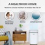 GRADE A2 - electriQ 20 Litre Dehumidifier with Humidistat and Carbon Filter