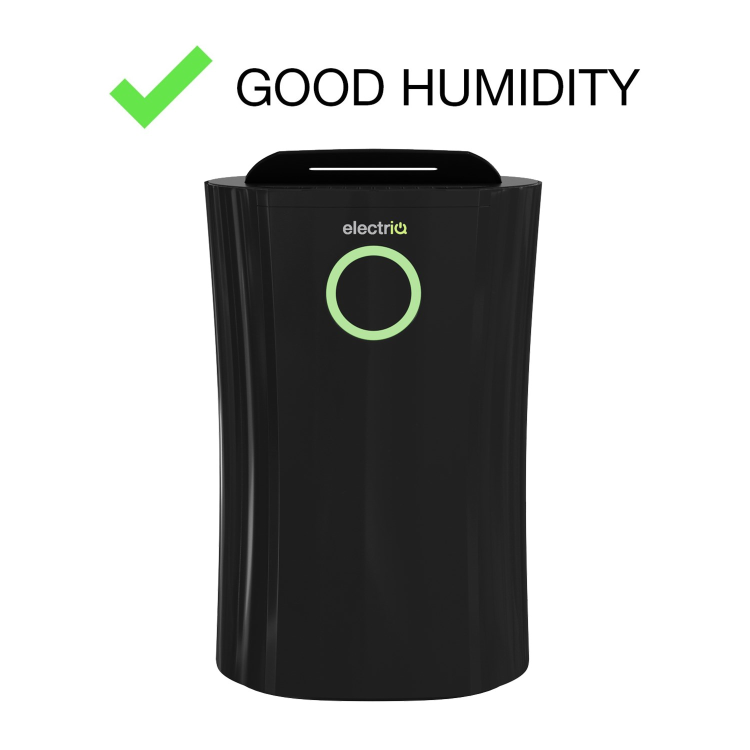 Refurbished electriQ 20 Litre Black Low Energy UV Antibacterial Dehumidifier with HEPA Air Purifier