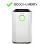 Refurbished electriQ CD20LE-V2 Low Energy Anti-Bacterial Dehumidifier for 2 to 5 bed houses