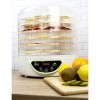 Refurbished electriQ EDFD04 Digital Food Dehydrator &amp; Dryer with 6 Collapsible Shelves and 48 Hour Timer