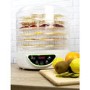 GRADE A1 - electriQ Digital Food Dehydrator & Dryer with 6 Collapsible Shelves and 48 Hour Timer