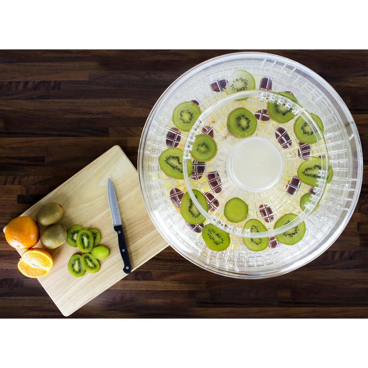 GRADE A1 - electriQ Digital Food Dehydrator & Dryer with 6 Collapsible Shelves and 48 Hour Timer