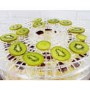 GRADE A1 - electriQ Digital Food Dehydrator & Dryer with 6 Collapsible Shelves and 48 Hour Timer