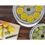 electriQ Digital Insulated Food Dehydrator & Dryer with 5 Shelves and 48 Hour Timer