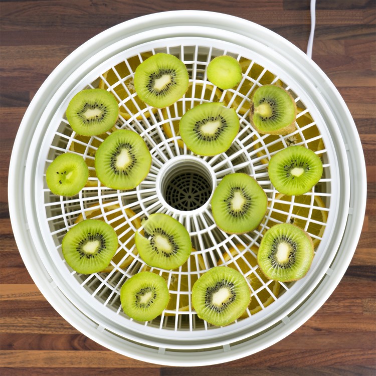 electriQ Digital Insulated Food Dehydrator & Dryer with 5 Shelves and 48 Hour Timer