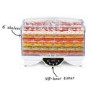 Refurbished electriQ EDFD06 Digital Food Dehydrator with Temperature Control and Timer