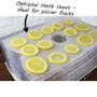 Refurbished electriQ EDFD06 Digital Food Dehydrator with Temperature Control and Timer