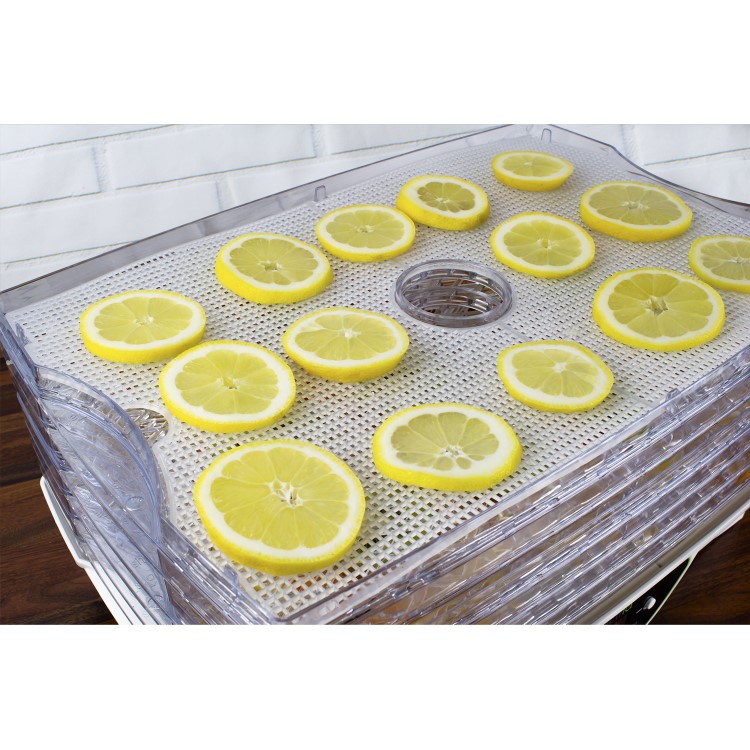 electriQ BPA Free Maxi Digital Food Dehydrator with 6 Collapsible Shelves