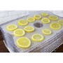 electriQ BPA Free Maxi Digital Food Dehydrator with 6 Collapsible Shelves