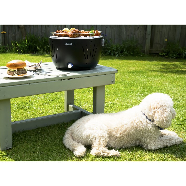 Refurbished electriQ Portable Smokeless Charcoal BBQ Lotus Style Grill with Fan