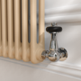 Reggio Elk brown Horizontal Double Column Traditional Radiator 600x1010mm 3462 BTU - Cast Iron Style