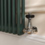 Reggio Evergreen Horizontal Double Column Traditional Radiator 600x425mm 1416 BTU - Cast Iron Style