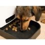 electriQ Pet Feeder with HD 720p Camera 2-way audio & dedicated app