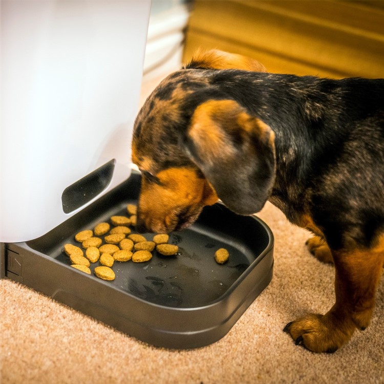 electriQ Pet Feeder with HD 720p Camera 2-way audio & dedicated app