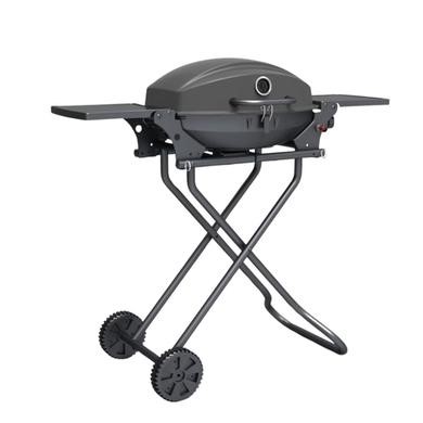 BBQ with Trolley