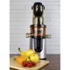 electriQ Slow Whole Fruit Juicer perfect for Cold Pressed Greens Juices and Smoothies