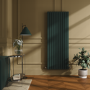 Riace Evergreen Vertical Flat Designer Radiator 1800x680mm Double Panel 6947 BTU