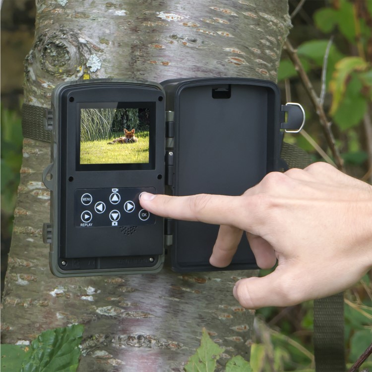 GRADE A2 - electriQ Pro Outback 8 Megapixel HD Wildlife & Nature Pet Camera with Night Vision