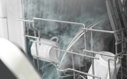steam wash dishwasher.