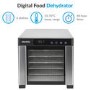 Refurbished electriQ Commercial Digital Food Dehydrator & Dryer with 6 Shelves and 48 Hour Timer Stainless Steel