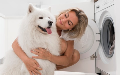 washing machine pet hair removal.